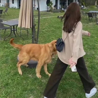 标心